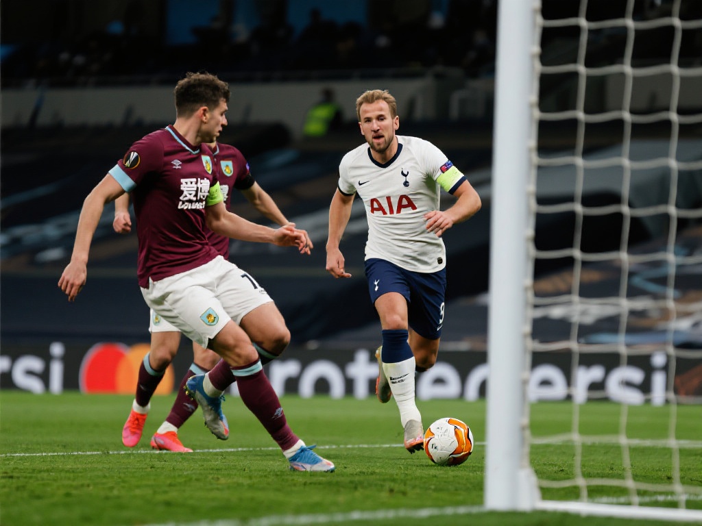 尼奥带来新 尼奥带来新